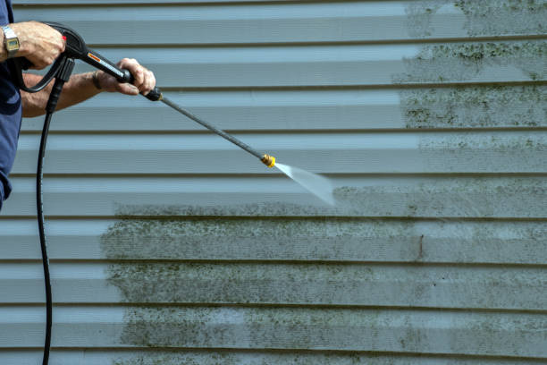 Best Graffiti Removal  in Wyldwood, TX